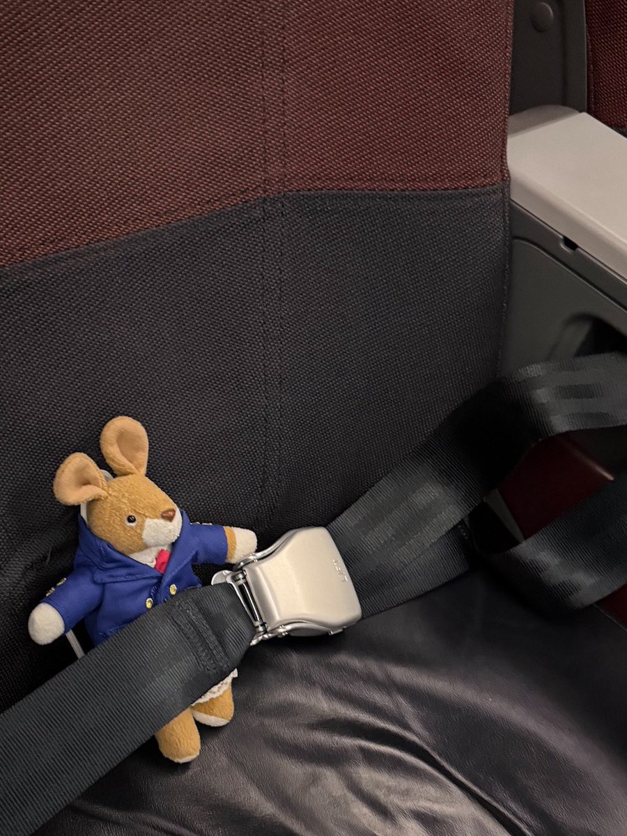 nuiusagi3's tweet photo. 🛫✈️🐰🌙🛩️🛬 https://t.co/KXiBRb0Qzi