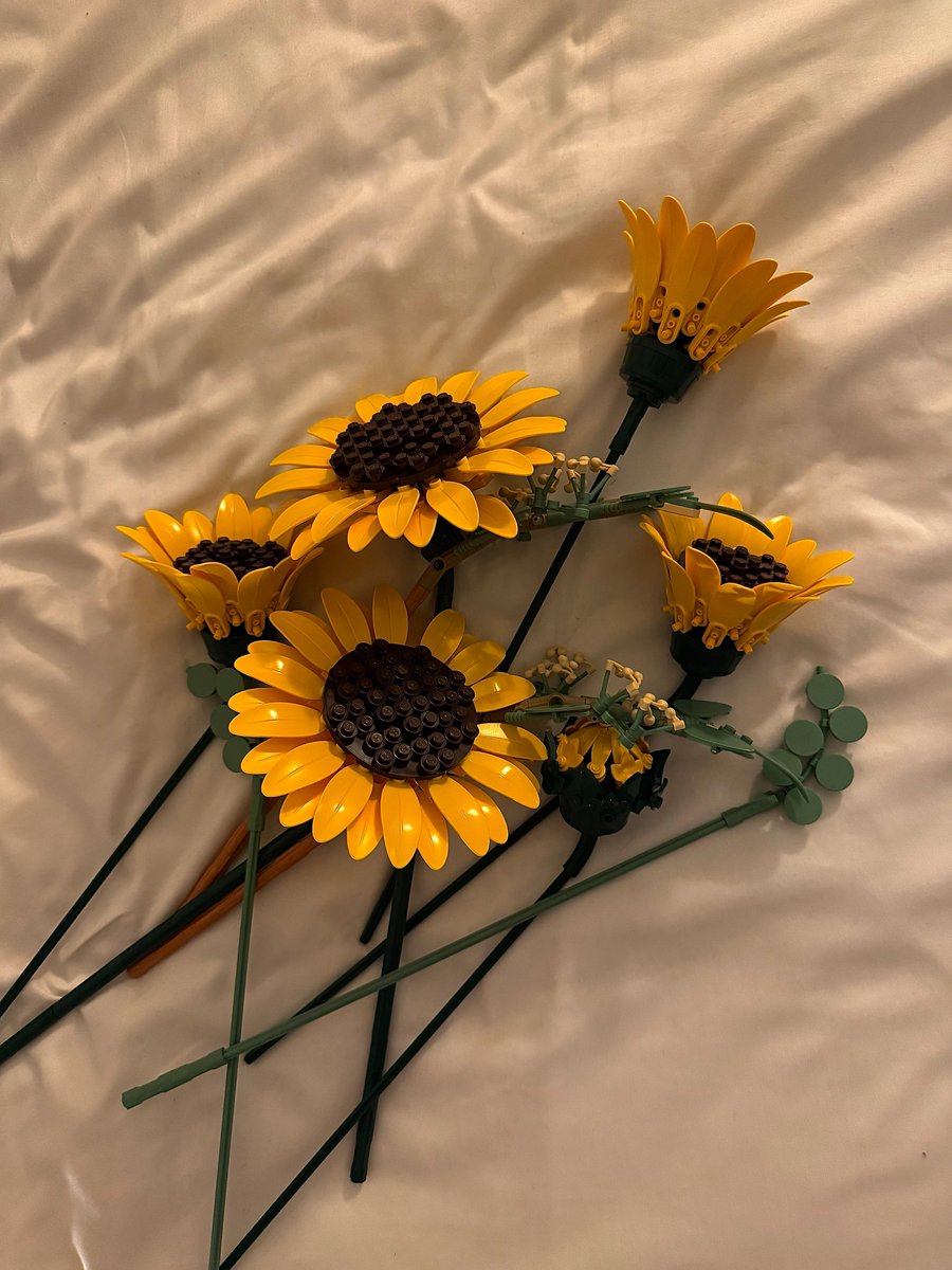 Itsmonsea's tweet photo. sunflower🌻🤍 https://t.co/MnPE6zYT3d