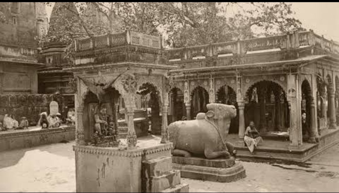 shauryabjym's tweet photo. ज्ञानवापी

औरंगजेब चाहता तो पूरे मंदिर को तोड़कर, सारे अवशेषों को हटा कर, ज़मीन को एक दम समतल कर के भी मस्जिद बना सकता था।उसके पास न तो संसाधनों की कमी थी और न ही उसे उस समय कोई रोक सकता था। उसे सिर्फ एक आदेश देना था और बादशाह सलामत का हुकम बजाते उसके सिपहसालार... बड़े ही कुशल तरीके से पूरे मंदिर को नेस्तनाबूत कर के, एक नयी नींव पर एक नयी मस्जिद का निर्माण करवा देते।

किन्तु, ऐसा नहीं किया गया!

क्यूँ...? क्यूंकि ऐसा किया ही नहीं जाना था।

अपने शत्रु को ख़त्म करने से ज्यादा मज़ा, उसका मानमर्दन करने में आता है। मृत्यु तो एक क्षण का दर्द दे कर, फिर आराम कर जाती है। लेकिन अपने शत्रु को हर रोज, तिल तिल कर मरते देखना, शर्मिंदा होते देखना, उसके आत्मगौरव को छलनी होते देखना... इस सबका मज़ा कुछ और ही है।

ज़िल्लेईलाही ने यही तो किया।
👇👇