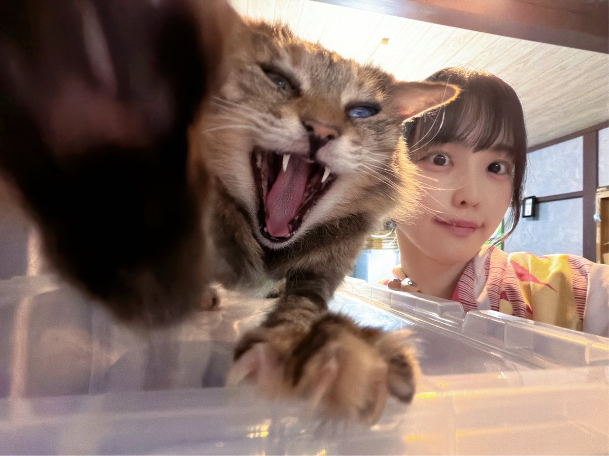 MMGJP_mob's tweet photo. 久々に実家の猫に会ったら嬉しそうすぎた https://t.co/lXFY4a9rRK