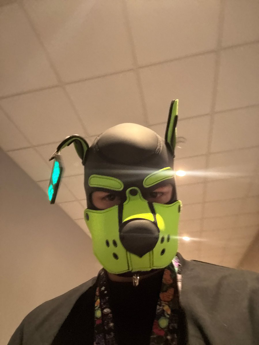 Zarna_amp's tweet photo. Furrydelphia it was a pleasure ❤️❤️ https://t.co/GuYDUe35g6