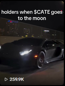 frz_crypto's tweet photo. these numbers are NOT normal for a single memecoin

the $CATE mania to come will be absurd

organic memetic movements like $CATE will bring MILLIONS on-chain https://t.co/EO3tQOQr1M