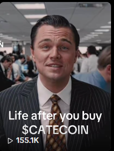 frz_crypto's tweet photo. these numbers are NOT normal for a single memecoin

the $CATE mania to come will be absurd

organic memetic movements like $CATE will bring MILLIONS on-chain https://t.co/EO3tQOQr1M
