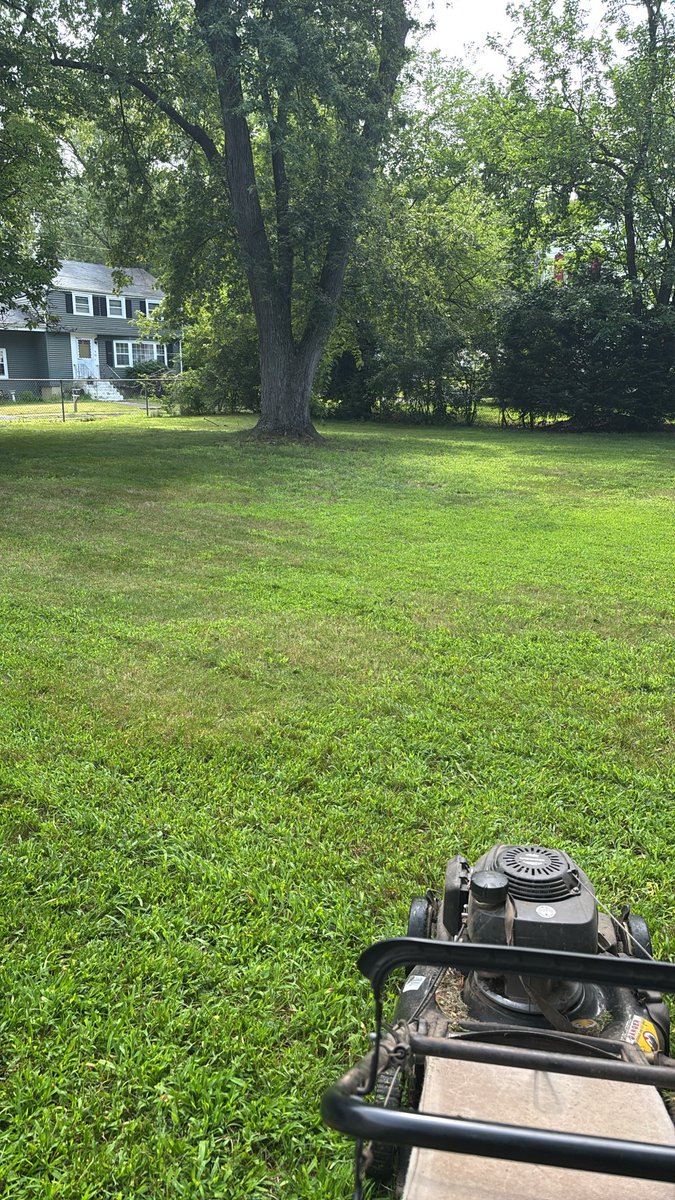 Thethinker010's tweet photo. This yard, isn’t yours to conquer https://t.co/2RB5AiuvV4 https://t.co/xMCfIKoqlT