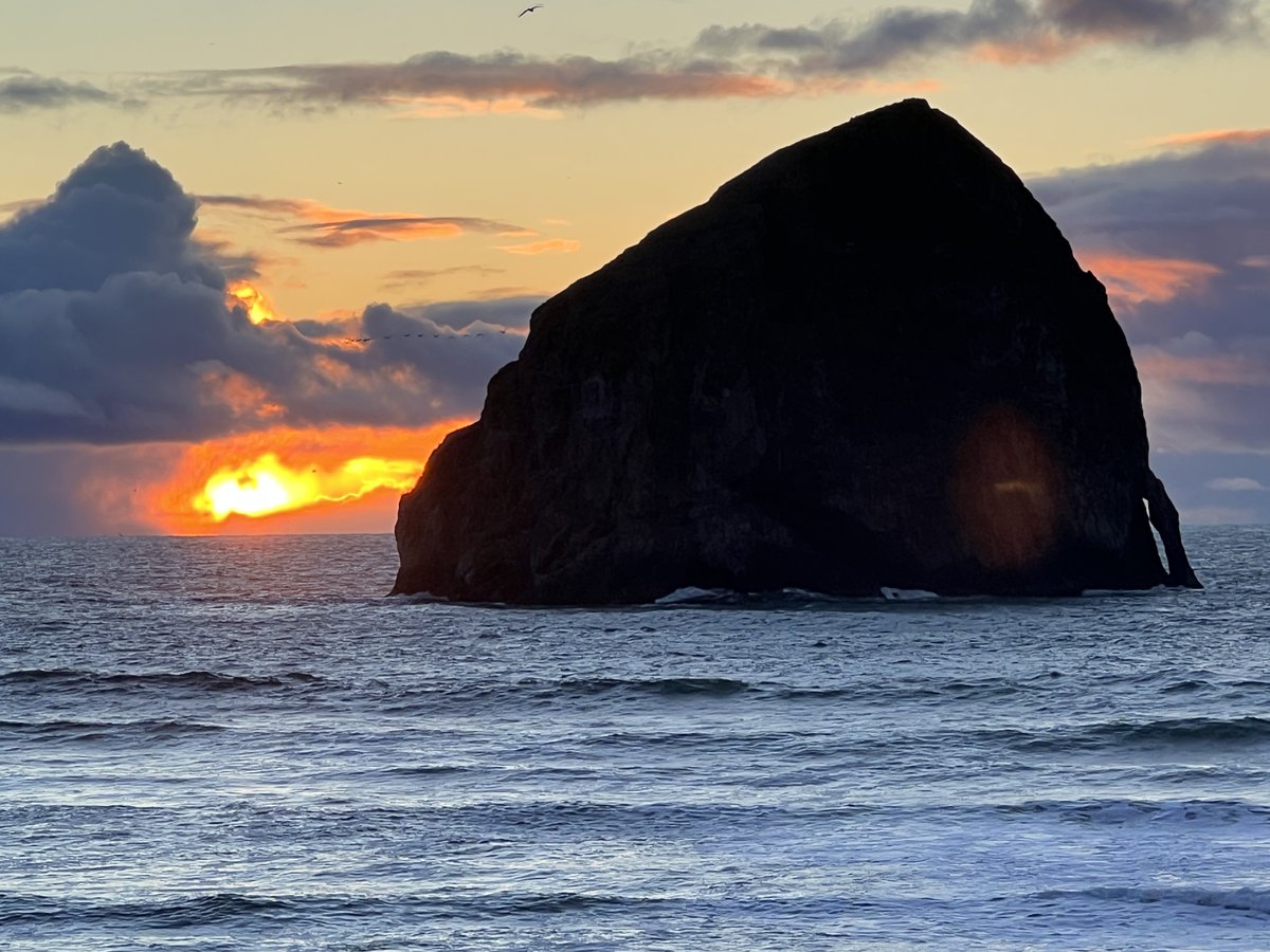 jchrislynch's tweet photo. #iphaiku
fire:
without it we’re toast
fire represents your life jeff
thermodynamics
https://t.co/YFco2wIEPX https://t.co/ecW6N9EU16