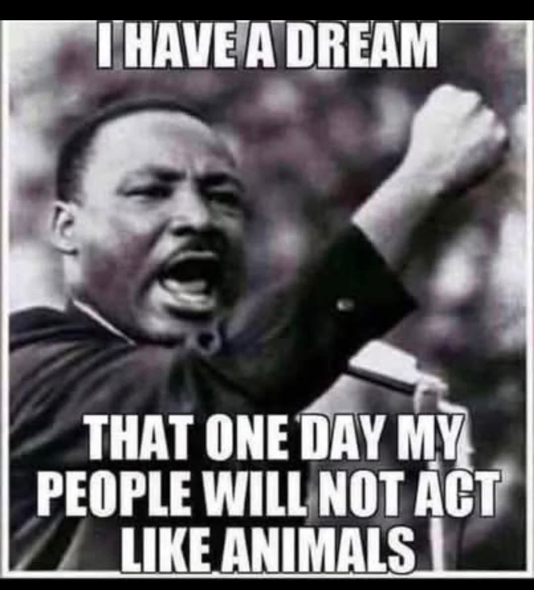 marmlst's tweet photo. @AntiLeftMemes https://t.co/REeh3m88jI