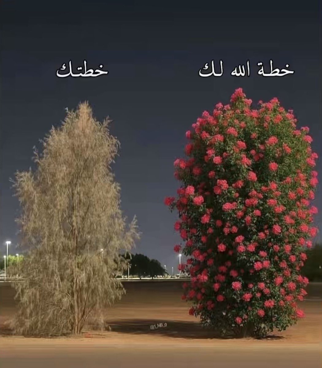 amhowail tweet picture