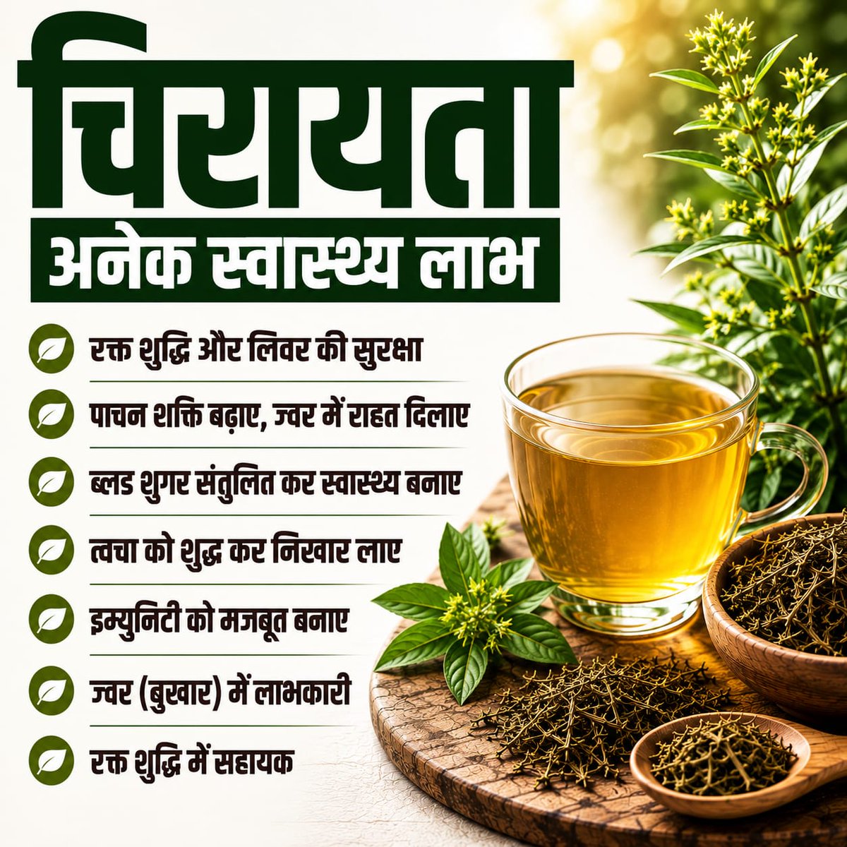 AzaadBharatOrg's tweet photo. चिरायता (Swertia chirayita) का 'अमारोजेंटिन' प्रकृति के सबसे कड़वे और मारक तत्वों में से है, जो मलेरिया परजीवियों को नष्ट करता है और 'स्वर्टियामारिन' टाइप-2 डायबिटीज को नियंत्रित करता है। पूरी पोस्ट पढ़े 👉🏻  https://t.co/TZchb3CLCl

#DiabetesControl #LiverDetox https://t.co/iPB9kdKwc7