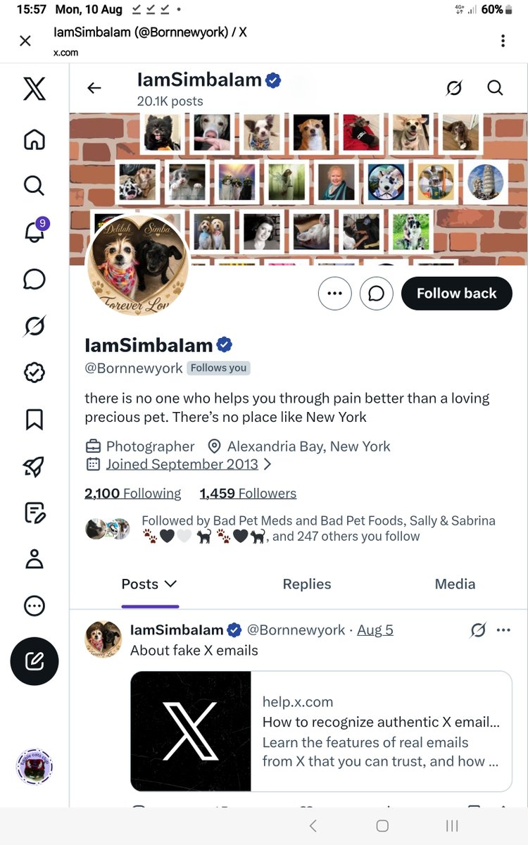 AlanSla90124663's tweet photo. @BrambleRamble4 @Hedgewatchers @ValinVigo @ScammersStopped @Scammer_Joker 

Here's another hacked account for you to block.
@Bornnewyork 
Usual story. The scumbags send a DM with a link containing malware that will hack your account.  They're vile lowlife parasitic cockroaches.
Please retweet to spread the word.

#KittyLoafMonday #Hedgewatch #ZSHQ #TheAviators