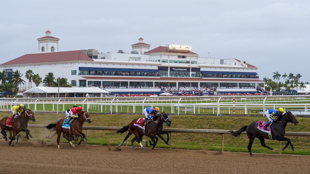ARodriguezVera's tweet photo. GULFSTREAM🌴10Ago26
Marcas Noon Line ARV

1)  1 /
2)  6 / 1...
3)  2, 8, 7 /
4)  3, 4 /
5)  4, 7...
6)  3 / 2, 1...
7)  (1, 3, 5, 4)
8)  2, 3, 4, 8... https://t.co/iEuJsJMiLj