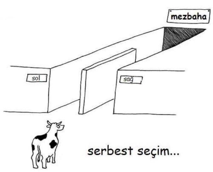 Anonim9633's tweet photo. @haskologlu https://t.co/bApHubdyzR