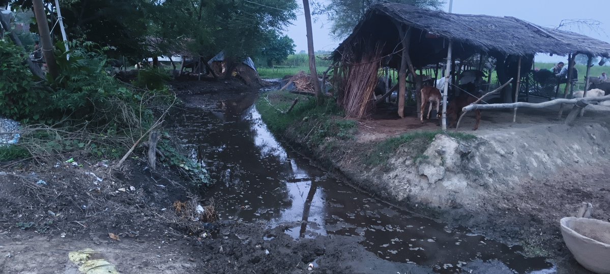 jantaball's tweet photo. @myogiadityanath
@UPGovt @UpRuralDev @dmgonda2 @premnarayanmla
@KaranBhushanSi1

तस्वीर या व्यवस्था का आईना?

ग्रामसभा तुलसीपुर मांझा के फार्म नंबर-1, नई बस्ती में रामपाल यादव के घर के बगल की सड़क की ये तस्वीरें बहुत कुछ कहने के लिए काफी हैं।

सड़क के नाम पर कीचड़, गंदा पानी और https://t.co/ro4byPdIOK