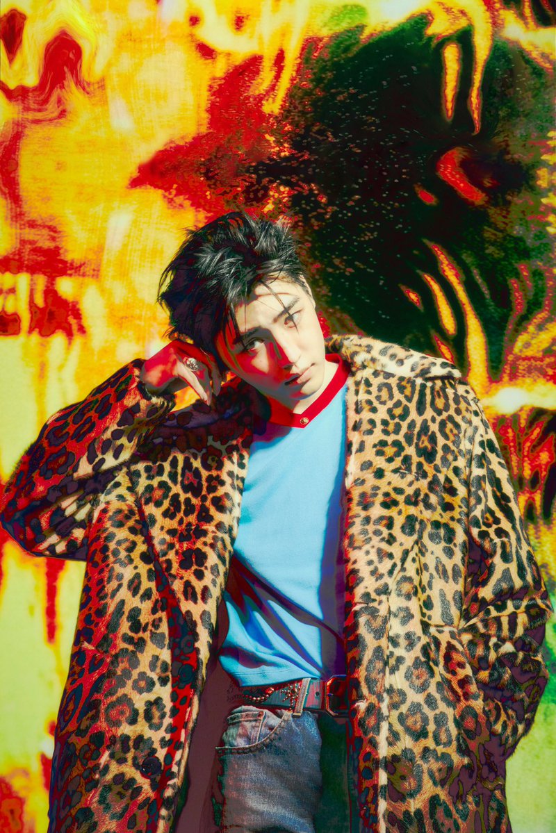 hoonkipintinhas's tweet photo. SUNGHOON ONCINHA FOI PRA MIM TCHAU https://t.co/m6u59sUkGW