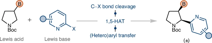 Boron_Chemistry's tweet photo. β-Selective C(sp3)–H functionalization of alkyl boronates using photoredox catalysis ( @NatureSynthesis ): https://t.co/2RooHClw79 ( @Prtha981 , @KBrownLab , @IUBChemistry ). https://t.co/GvbLrm690g