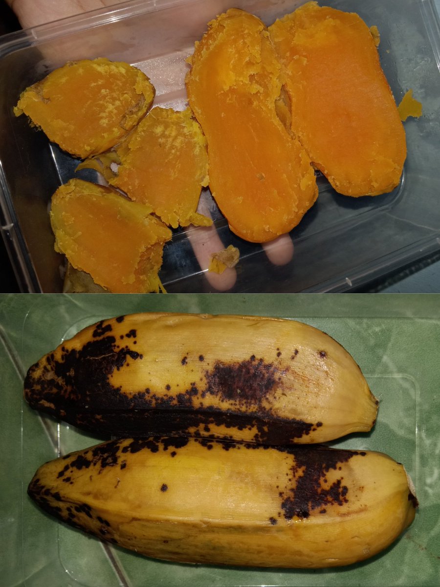igotafeelings's tweet photo. Flo's progress #17 (10/08/2026)
#1PercentStepUp | fase 1
Funda mat almost done (ALHAMDULILLAH) ini ceritanya funda mat ร pisang n ubi kukus (bukan kimpul) ๐คค Live class skuling hari ini materinya tentang flowchart sama himpunan, SUKAKK (soalnya aku lumayan bisa materinya) ๐๐ https://t.co/WtgG9FT6Ls