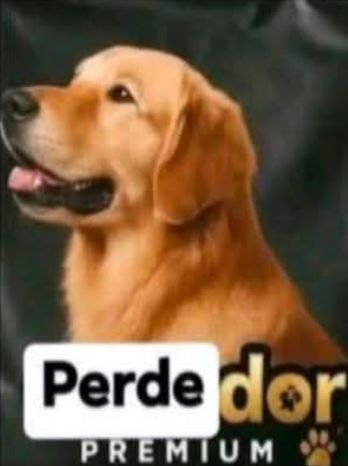 Nico_Brandon11's tweet photo. @InteCRTW Soy un fracasado de mierda e igualmente no los consumo ni de onda https://t.co/Gsz1LtPoA7