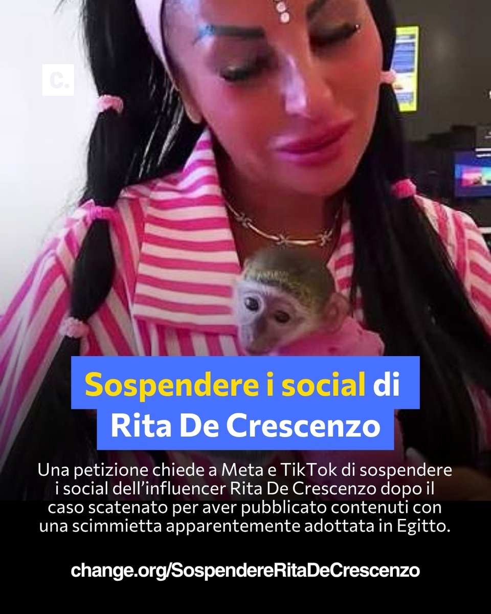 Person holding a monkey with a text overlay about suspending social media.