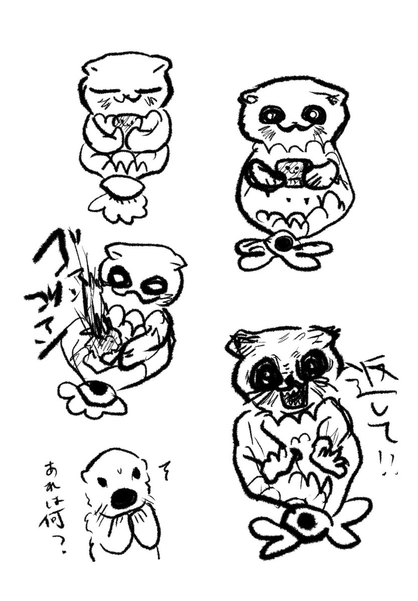 MOBUCOLLECTION's tweet photo. ラッコのようななにか https://t.co/unOMuT9PIz
