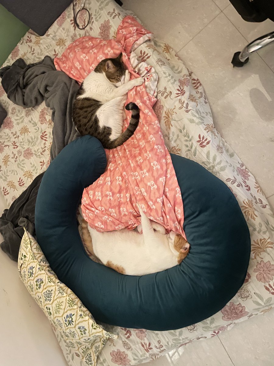 namixavier's tweet photo. GUYS I NEED TO PUT ON ONTO SOMETHING THATS GONNA CHANGE THE GAME. GET YOURSELF A PREGNANCY PILLOW this is mine it is amazing to sleep inside of https://t.co/azz2QRzO4w
