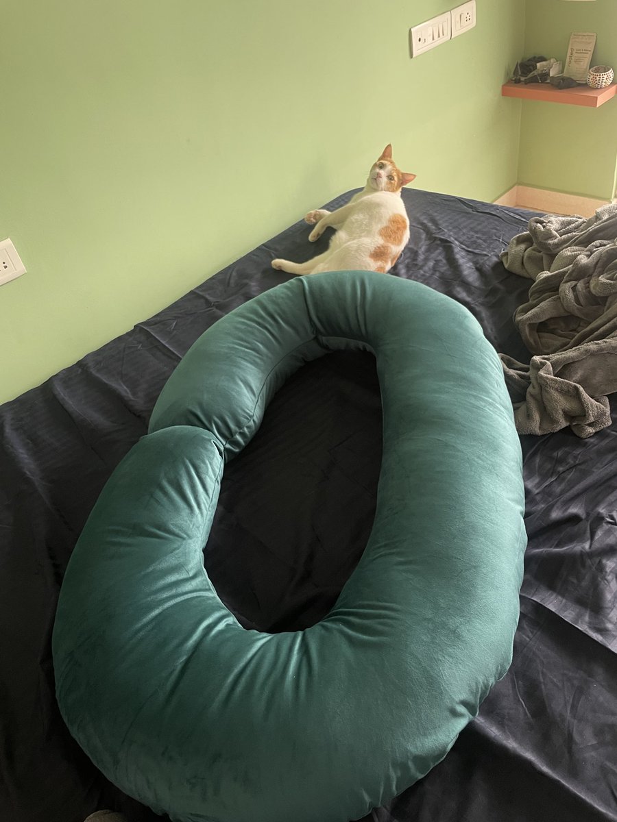 namixavier's tweet photo. GUYS I NEED TO PUT ON ONTO SOMETHING THATS GONNA CHANGE THE GAME. GET YOURSELF A PREGNANCY PILLOW this is mine it is amazing to sleep inside of https://t.co/azz2QRzO4w
