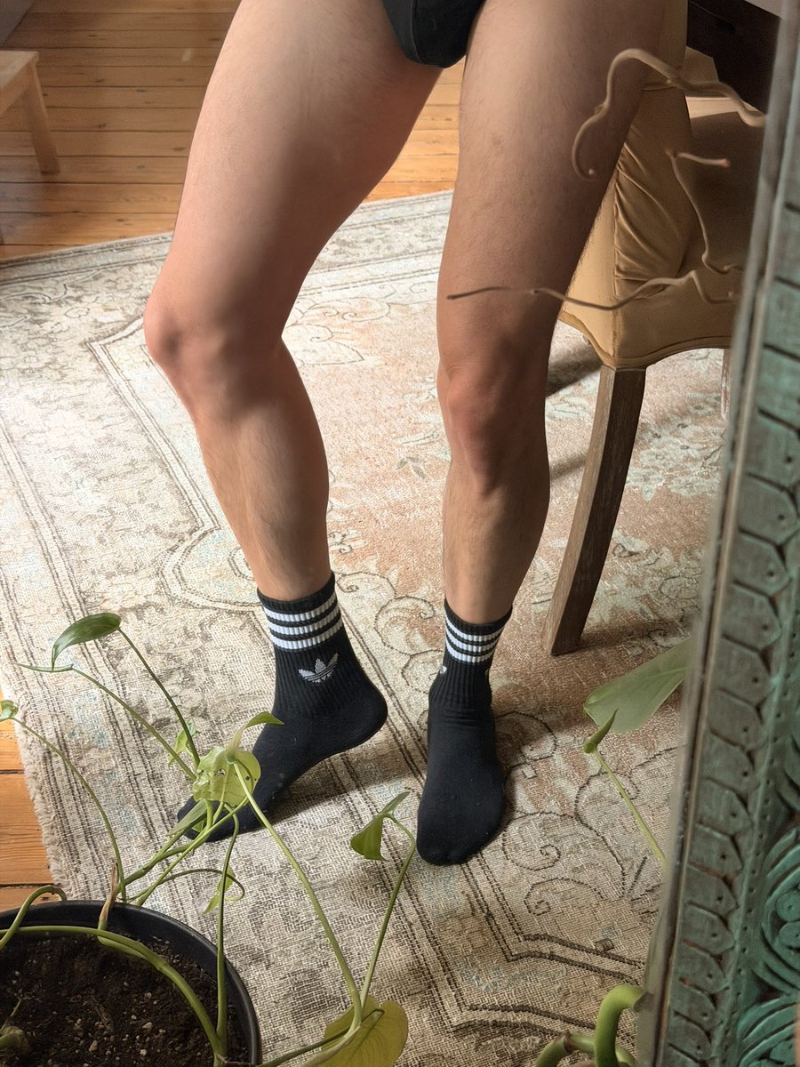 masterdavide99's tweet photo. Ahha at special request more socks! 500 euro each
https://t.co/qWjt4vh9V0
https://t.co/kcKOJiwlPW
#findom #sklave #füße #cashslave #cashmaster #feet #socks #smellysocks #slave #payslave #sweat #soles #sohlen #piedi #leccapiedi #schiavo #servo #padrone #mastersub #alpha https://t.co/WibgcZUEZp