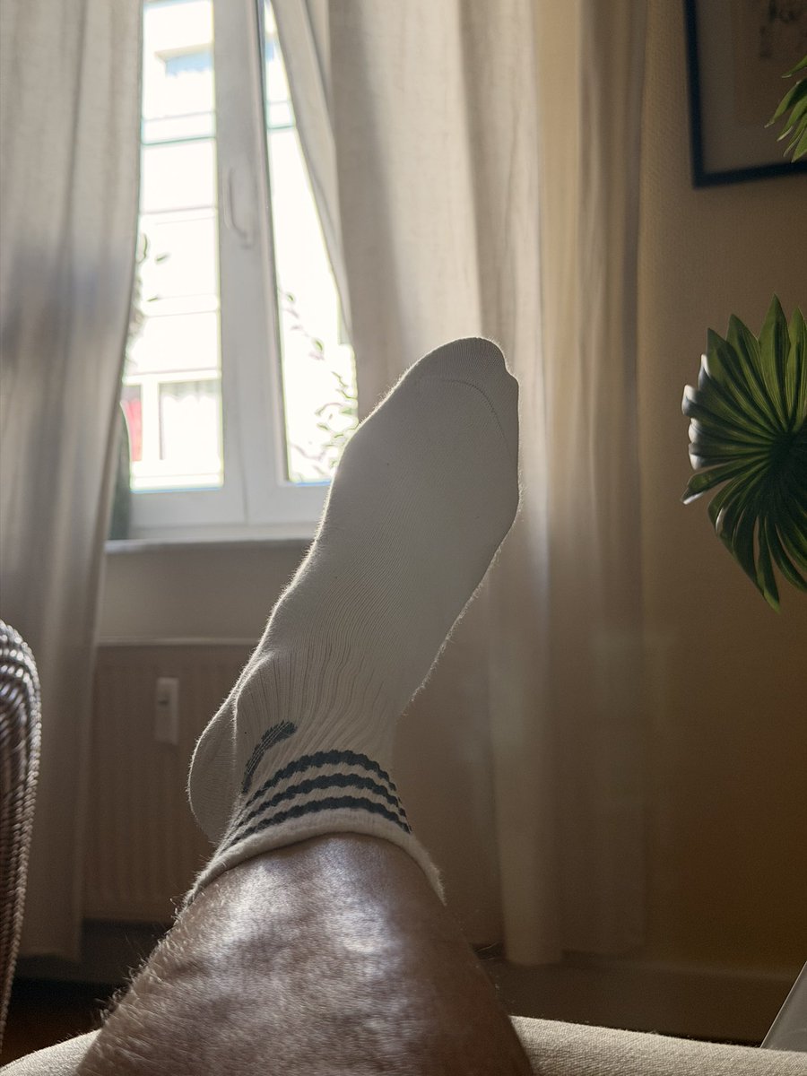 masterdavide99's tweet photo. Ahha at special request more socks! 500 euro each
https://t.co/qWjt4vh9V0
https://t.co/kcKOJiwlPW
#findom #sklave #füße #cashslave #cashmaster #feet #socks #smellysocks #slave #payslave #sweat #soles #sohlen #piedi #leccapiedi #schiavo #servo #padrone #mastersub #alpha https://t.co/WibgcZUEZp