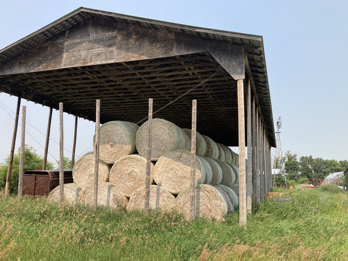 SundanceFarms's tweet photo. Hemp straw bale storage on a #Saskatchewan farm. Is light coloured for use in landscape fabric or weed coverage around trees. #Crop #2ndUse https://t.co/1nC5kXfmXk