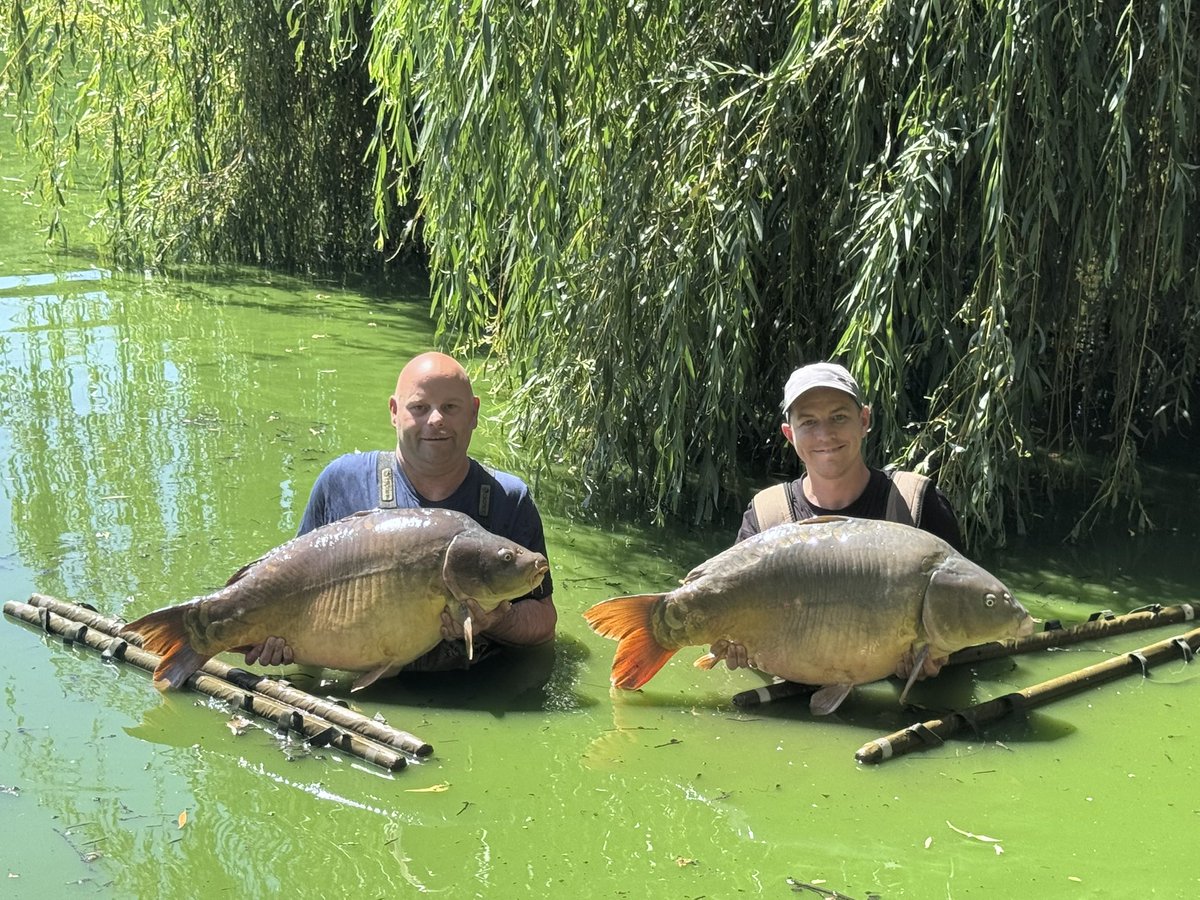 stechilly's tweet photo. Thank you Redmill, highly recommend. Amazing stock of fish. Final morning with a brace of beauties to top it off #france #carp #bivvylife https://t.co/ysYthcX6B4