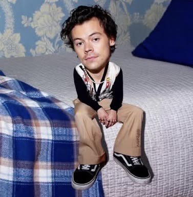 theharrycrave's tweet photo. Imagine Harry with a big ass head https://t.co/zYGkDEpuHH