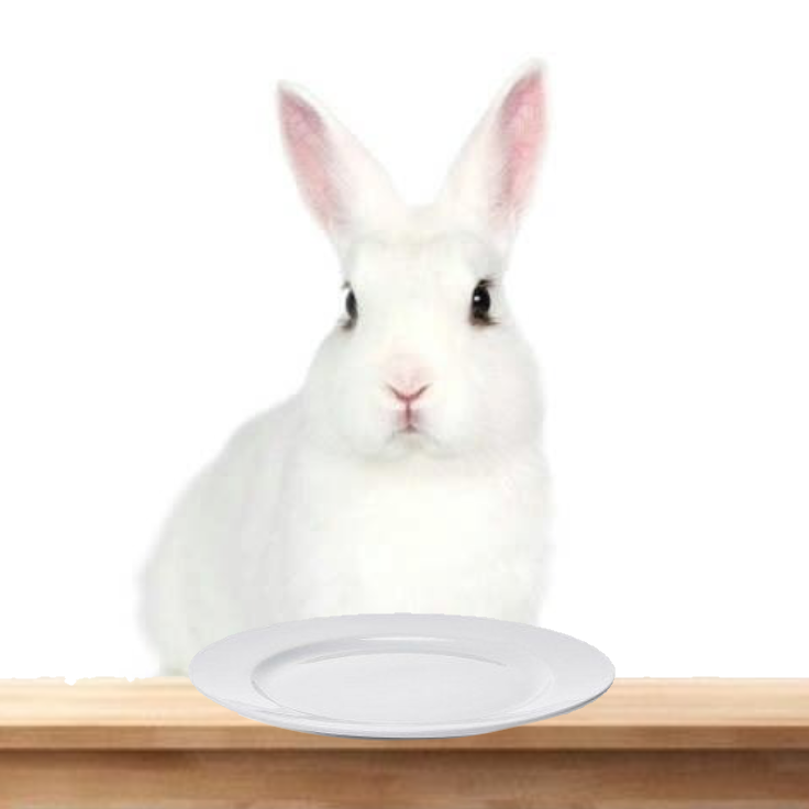 Ultimategolfr67's tweet photo. @koichikizaza ..... 

[The bunny cannot do that, she would love to tho ] https://t.co/o2PVDs8sbc
