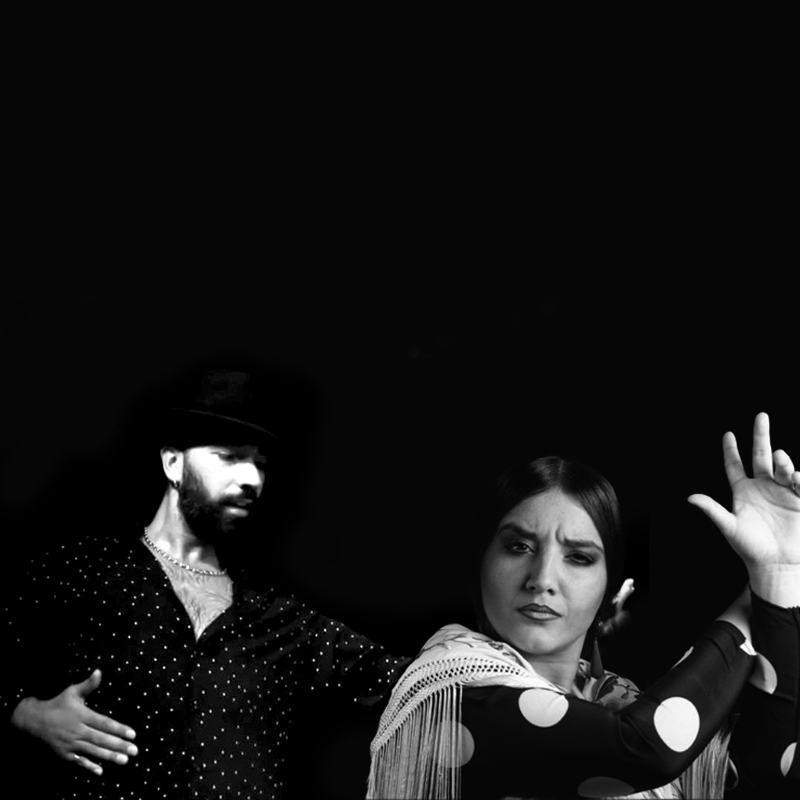 flamencotickets's tweet photo. August 17-23 in Las Tablas (Madrid)
“Pulso”
José Antonio Fernández “El Tachu” and Fuensanta Blanco

More info and tickets: https://t.co/5H6EFfv7HJ
#FlamencoTickets #Madrid https://t.co/yhze6TnutE