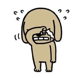 silllicaktae's tweet photo. @walalaa317 얼굴로기살려주는 내아이돌…./// https://t.co/XwQF76u6Iq