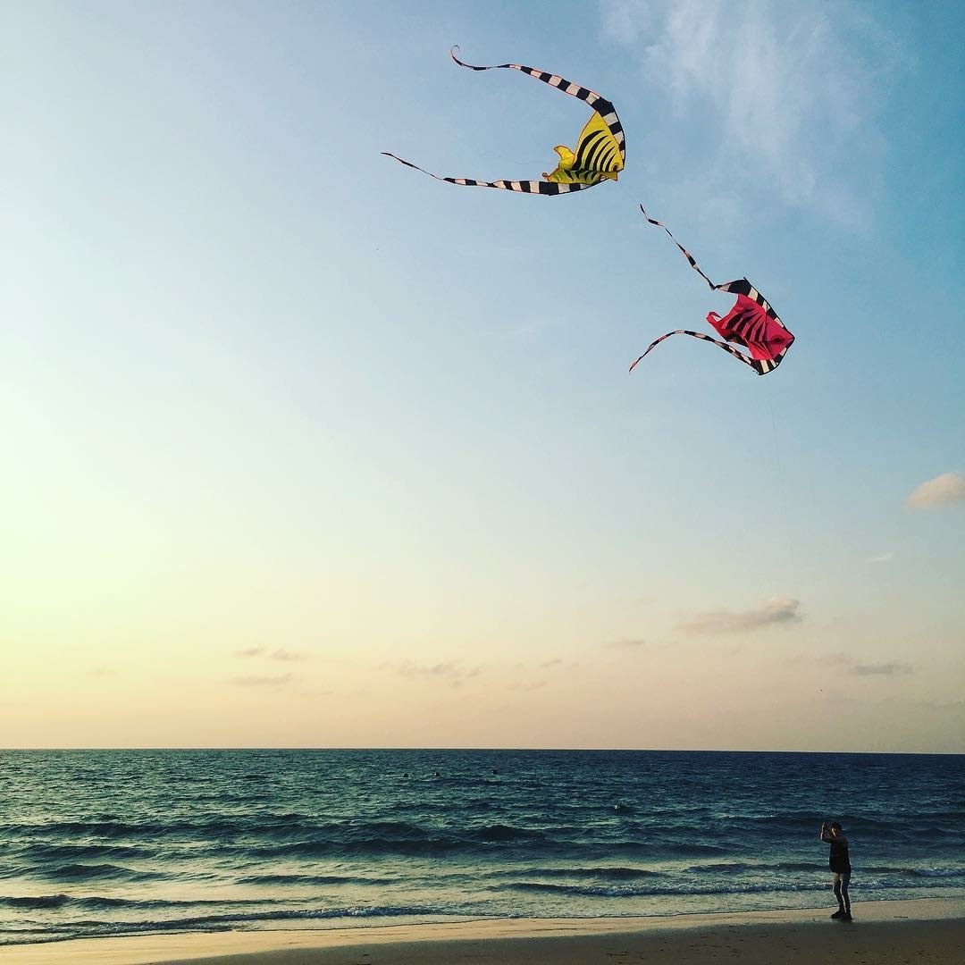 Markoldpics's tweet photo. Mark flying kite https://t.co/a2nGi6y0H4