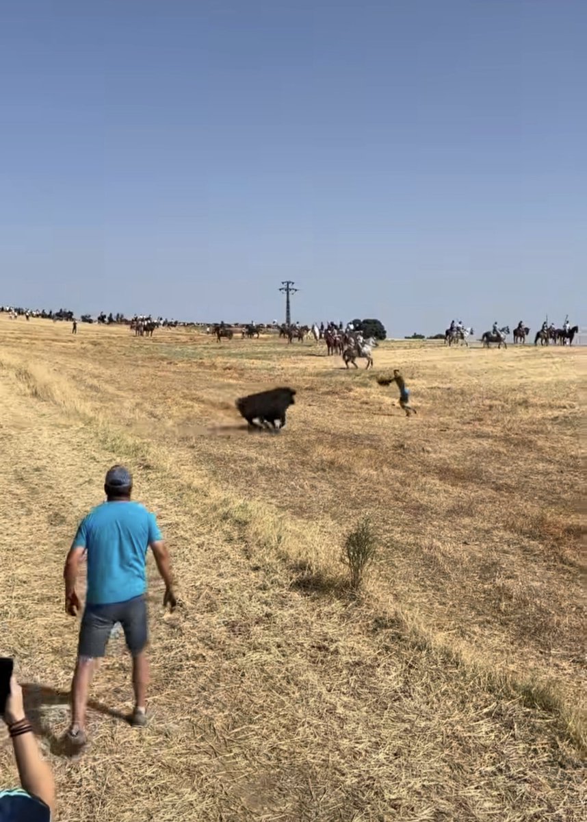 alalpardo_ayto's tweet photo. Jornada histórica en Valdeolmos al recuperar el Encierro por el Campo... tradición perdida hace 30 años. https://t.co/2qCKvrsSxa