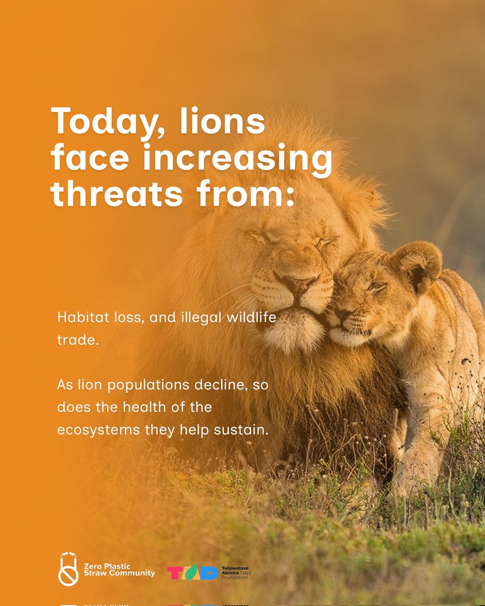 ZPSCommunity's tweet photo. World Lion Day 🦁 https://t.co/bVJ8XlHYhq