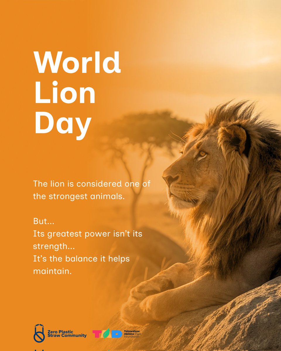 ZPSCommunity's tweet photo. World Lion Day 🦁 https://t.co/bVJ8XlHYhq