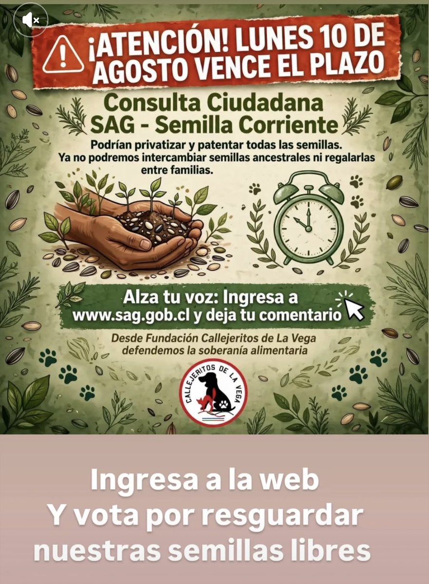 psicoactivo's tweet photo. Nos quieren 
CAGAR con las SEMILLAS!!! 🌱

Ayuda! Entra al https://t.co/QuFWmoqmDA y VOTA! https://t.co/lspHLB17DA