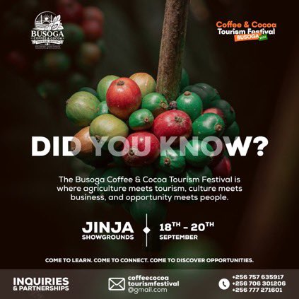NasasiraSPeter's tweet photo. Coffee in Busoga is more than a morning ritual—it’s a journey from the greenest cherries on the branch to the rich aroma in your cup. Come see where the journey begins, meet the people behind it, and experience the beauty of the land.
#BusogaCoffeeCocoaFestival2026 https://t.co/ojmwhEyREc
