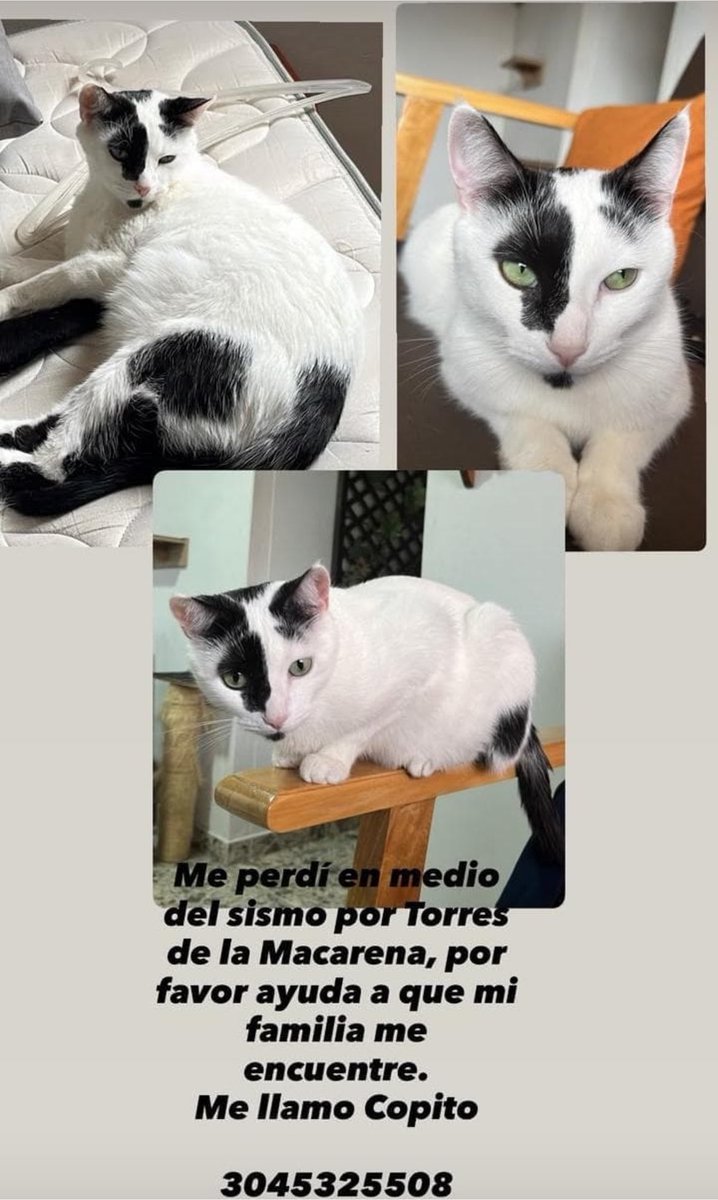 infostaycol's tweet photo. Difundamos mucho esta información también en estados y en redes, ayudemos a que vuelvan a casa 🙏 https://t.co/eqTnWjxxIE