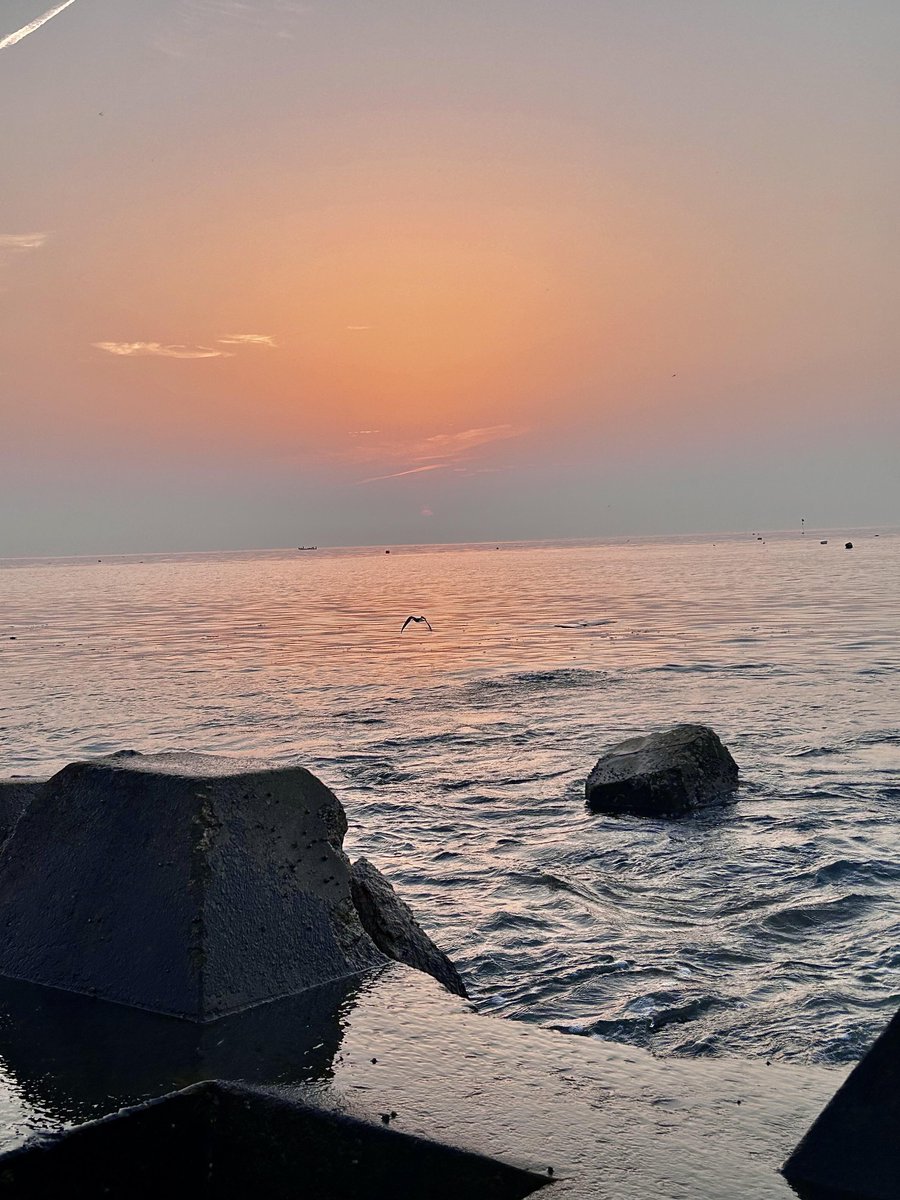 wela2183's tweet photo. Just wrapped up a quick day trip to the coastal town! Fresh sea breeze, great seafood, and perfect sunset. https://t.co/wLyRr6y6MQ