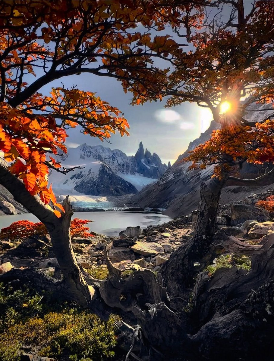 flower6260's tweet photo. Patagonia, Chile https://t.co/YYZTPEN9ew