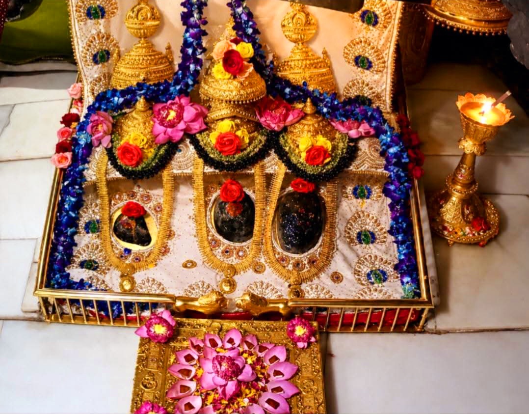 DeleshS's tweet photo. 🚩🔱ॐ ऐं ह्रीं क्लीं चामुण्डायै विच्चैः🔱🚩
आज 10 _ 08 _ 2026 "त्रिकुटा पर्वत" से
अद्भुत प्राकृतिक #पावन #दिव्य #पिंडी #स्वरूप #माँ वैष्णों जी के सुंदर आलौकिक #सायंकाल के "श्रृंगार #आरती #दर्शन"
#KatraVaishnoDevi #jaimahakal #jaiganeshdeva #maa #jaimatadi #jaishreeram #sawan https://t.co/5fpZWep25x