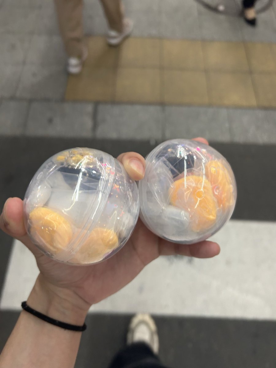 hitagi_end12's tweet photo. ピンガかぶり https://t.co/2jsShXCRCp