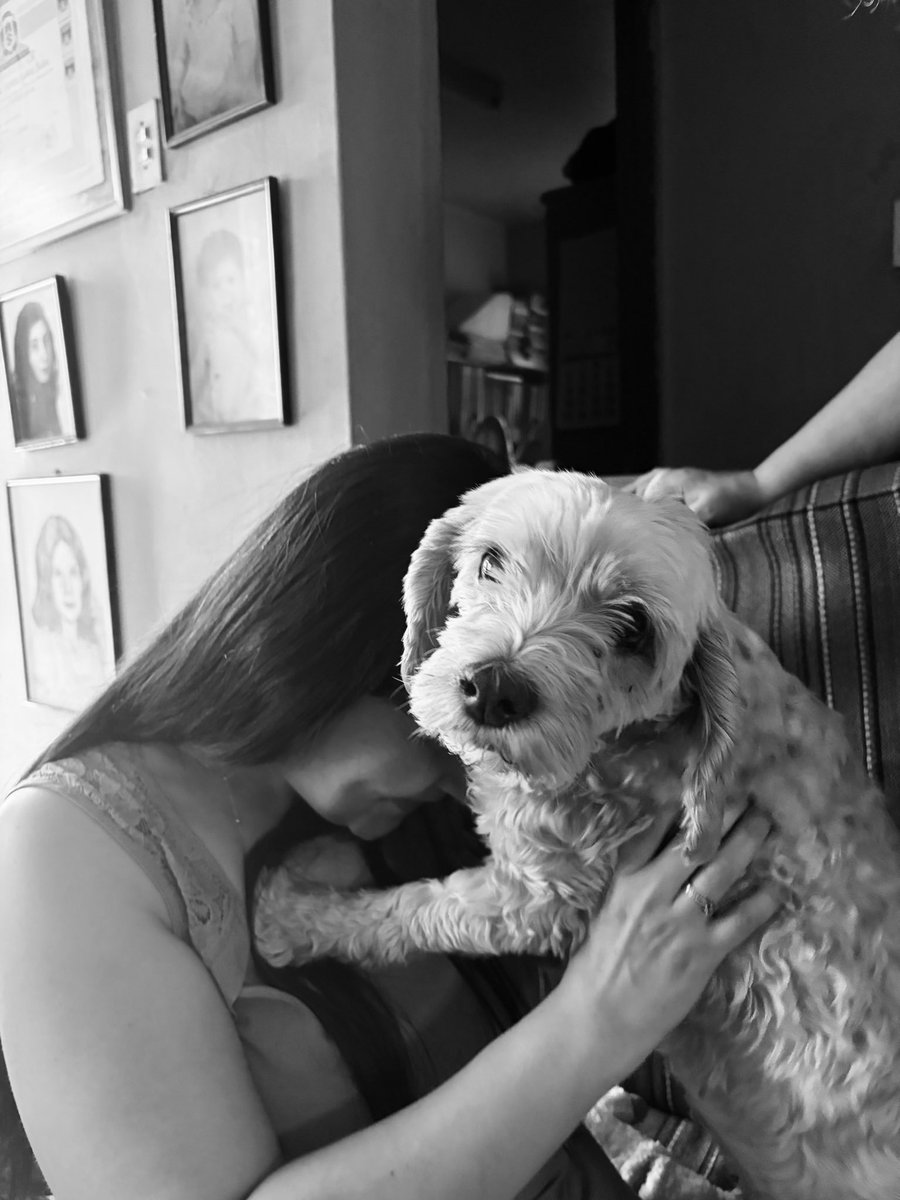 SoyLaGataMini's tweet photo. Voy a llevarte a pasear por todas las nubes, las rosadas, las blancas. Jugaremos y haremos pijamada con Pelu. Desde aquí cuidaremos juntas a tu mami y a la mía. Sé bienvenida al arcoíris corazona @brandy87899345  te amamos siempre 😿💕🌈🐾 https://t.co/PFI5EzW3D9