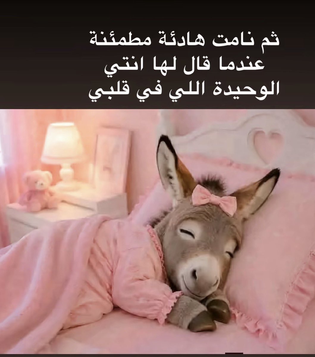 A_Abdullahq's tweet photo. عمري الحماره نوم العوافي 😅🤪 https://t.co/LuII9HZi0W