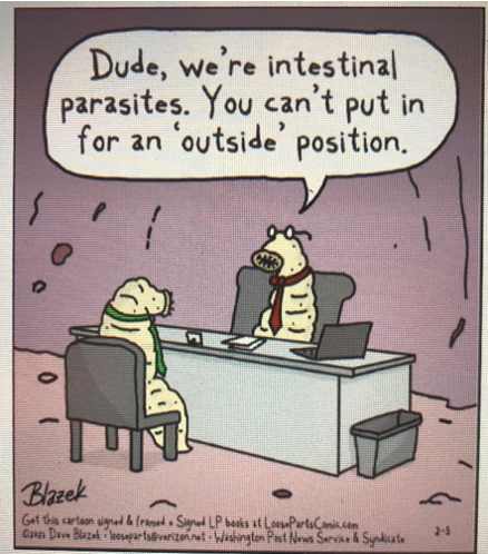 SON_nemaweb's tweet photo. 🪱🪱🪱🪱🪱🪱🪱🪱🪱
In the meantime in the nematode job interview: 
“What are your long-term goals…”
“Honestly, I’m just looking for a permanent host.” DG-V https://t.co/QCP91YB8iV