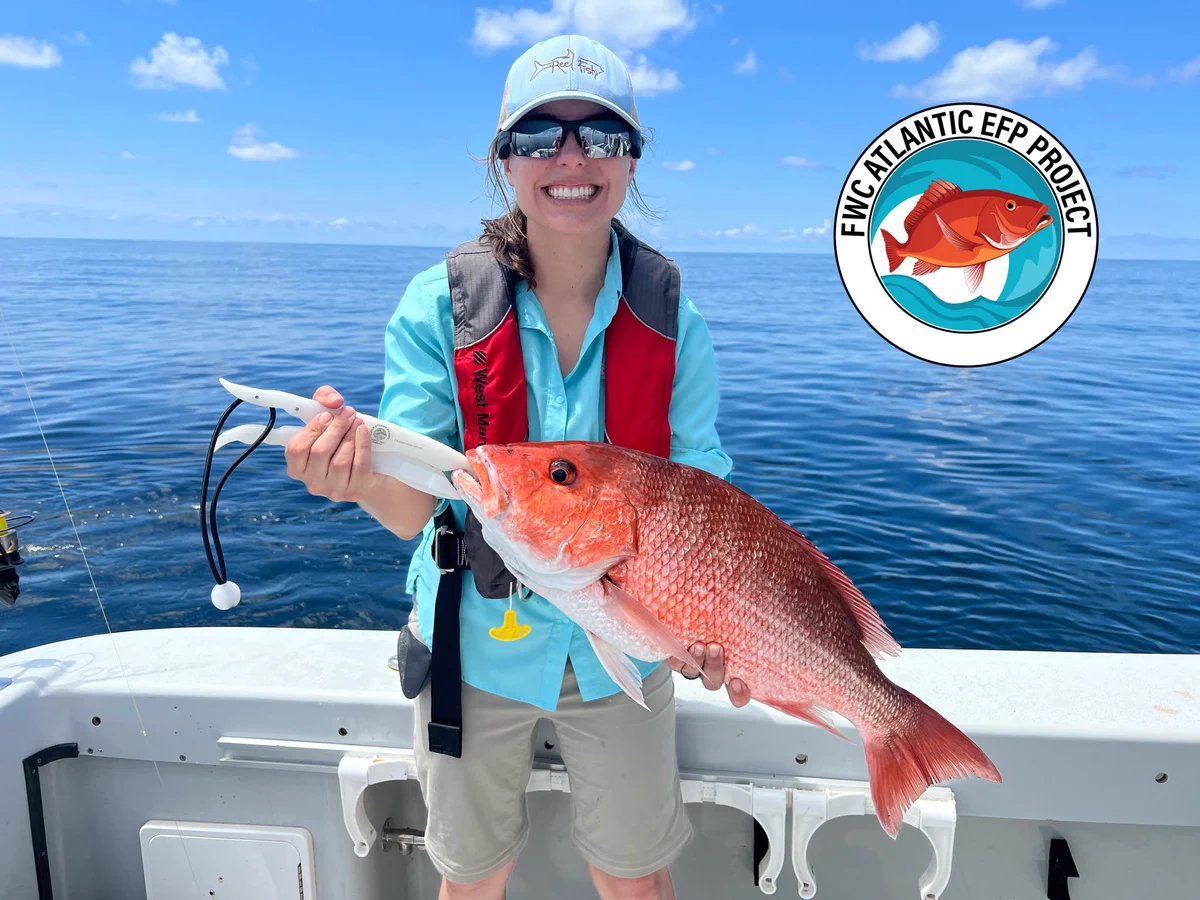 An angler, wearing a PFD, showcases their Atlantic Red Snapper catch in open water while enjoying a day of Florida fishing. FWC Atlantic EFP Project logo. 