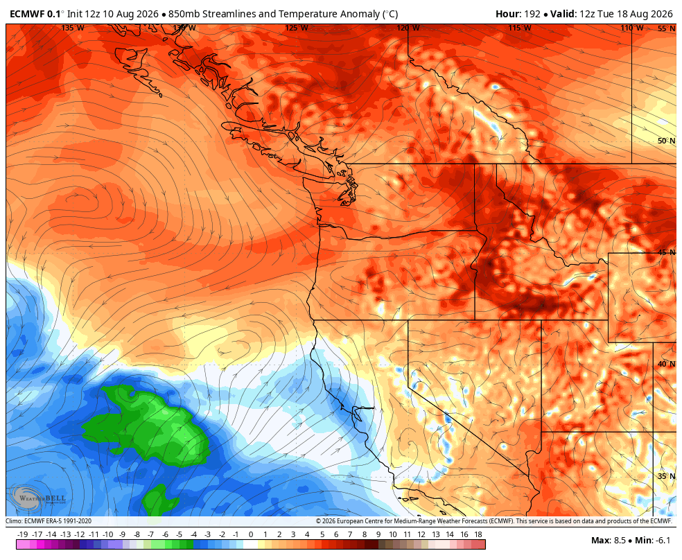 vlad_rad's tweet photo. The latest ECMWF however shows a warmer/dry ridge like pattern continuing for the #PNW over the next two weeks.
#BCWx #BCHeat #BCStormWatch #WaWx #Weather https://t.co/QnFNDtPVfd