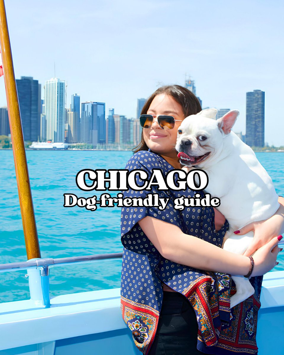 ChooseChicago's tweet photo. Who let the dogs out? Chicago! 🐶🌭

From hot dogs to four-legged friends, Chicago knows how to do dogs right. From the 606 trail to the Montrose dog beach, swipe through for pet-friendly spots all across the city!

🔗 https://t.co/JA6Kb2aGQP

#NeverOutdoneChi https://t.co/m7Y2gc6lUS