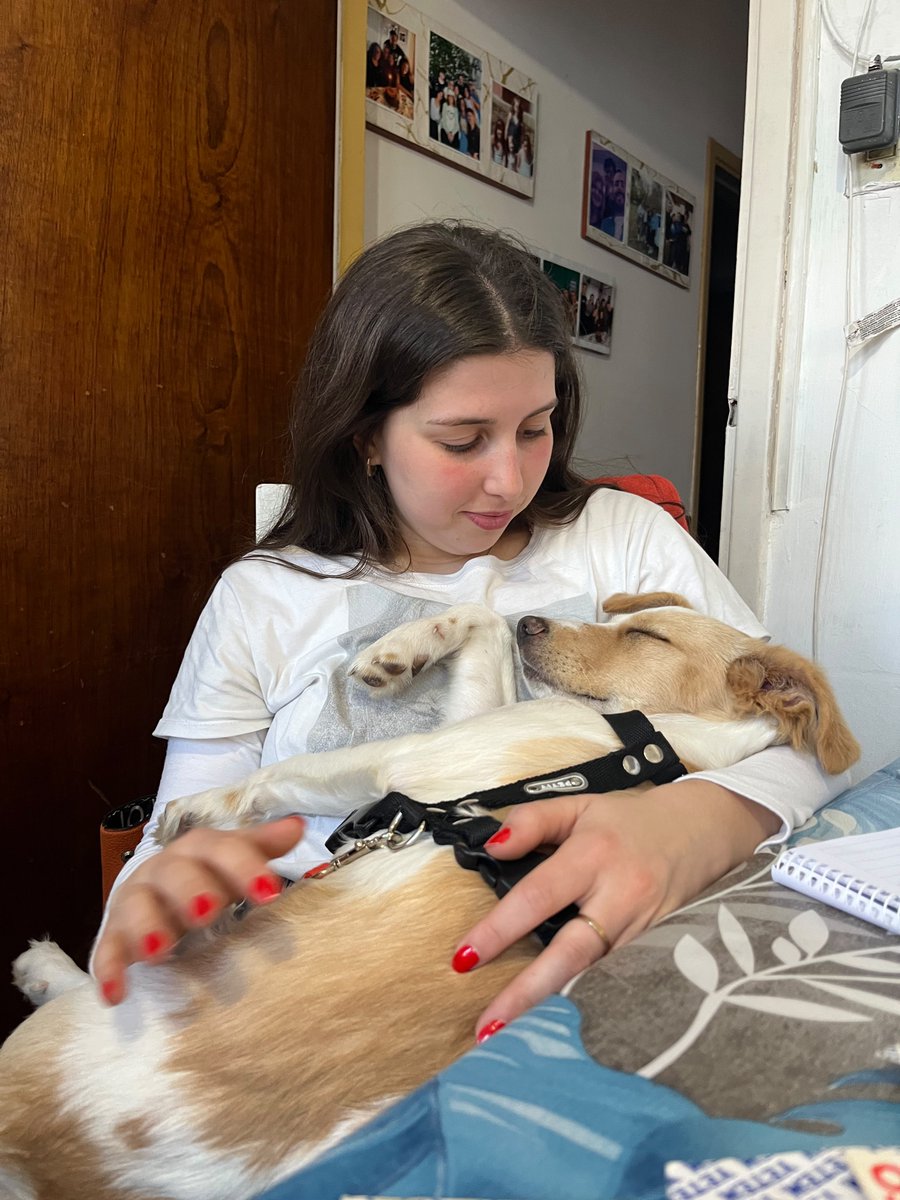CeCataldi's tweet photo. #tapadosdelaburo  La hermana de #Melian  no quiere  largar a #Nina https://t.co/WDpwelnk0y
